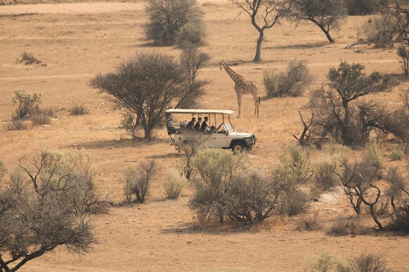 Bush Adventures